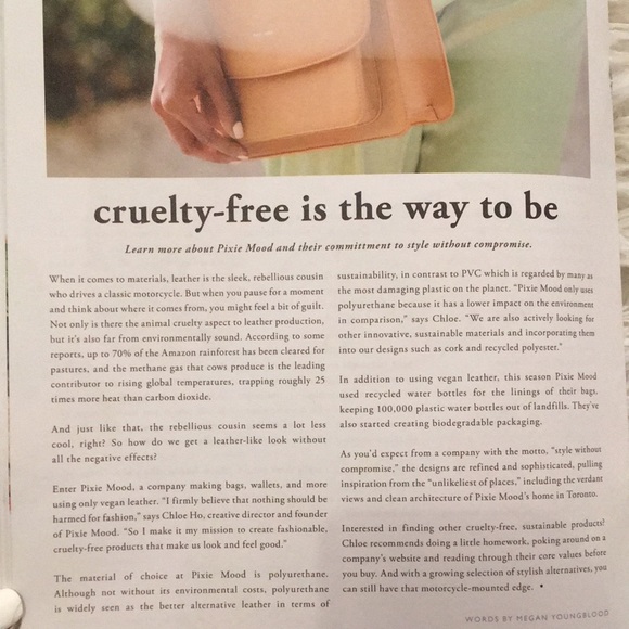 ✨NWT✨Pixie Mood 👜 Purse - GREAT GIFT! - Picture 8 of 15